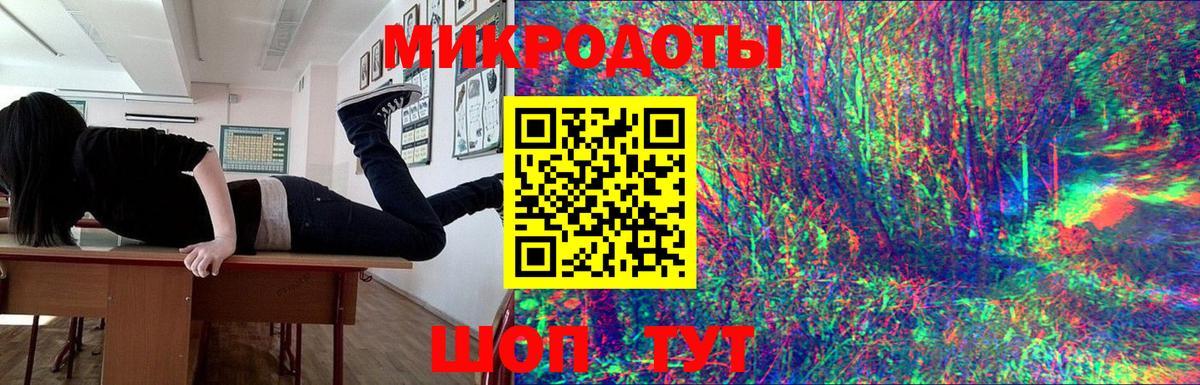 Галлюциногенные грибы Psilocybe Гулькевичи