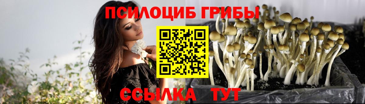 Псилоцибиновые грибы мухоморы  Вход с VPN  Галлюциногенные грибы Cubensis  Гулькевичи 